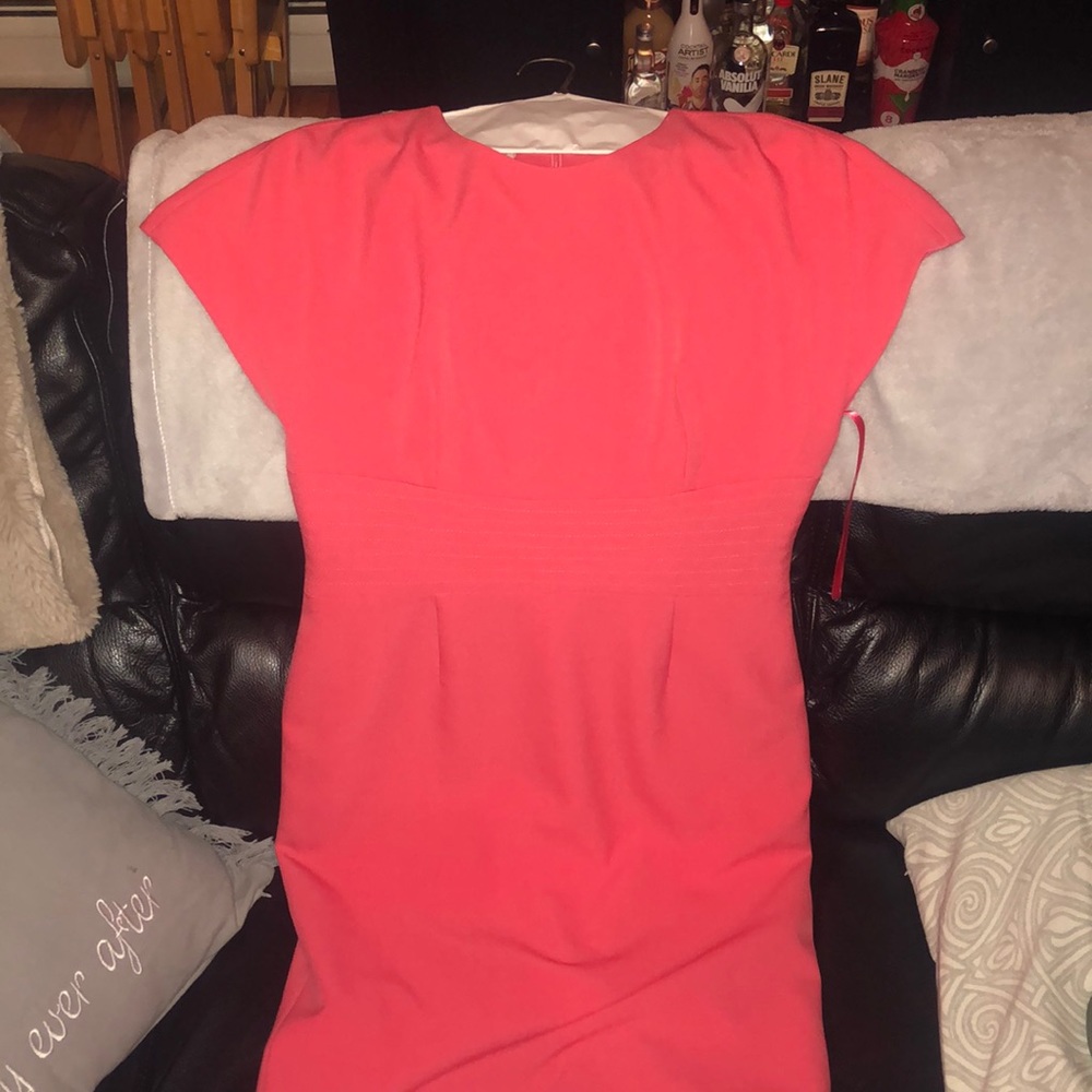 Beautiful Anne Klein pink dress!